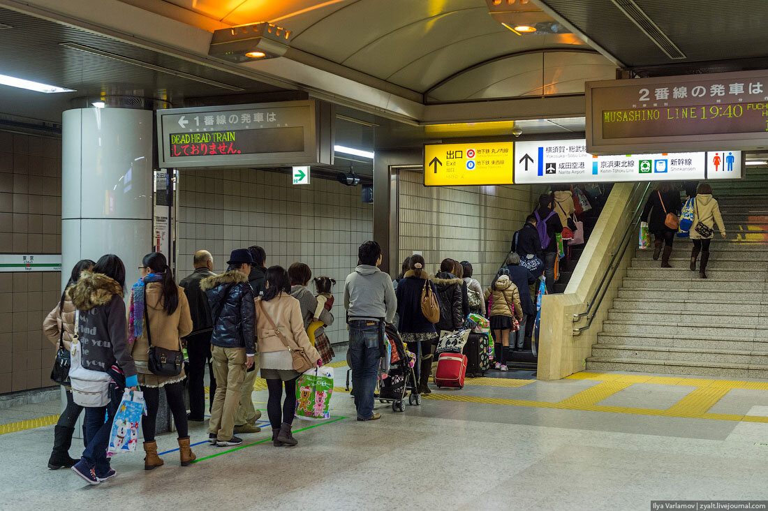 Люди стоят на специальных разметках 