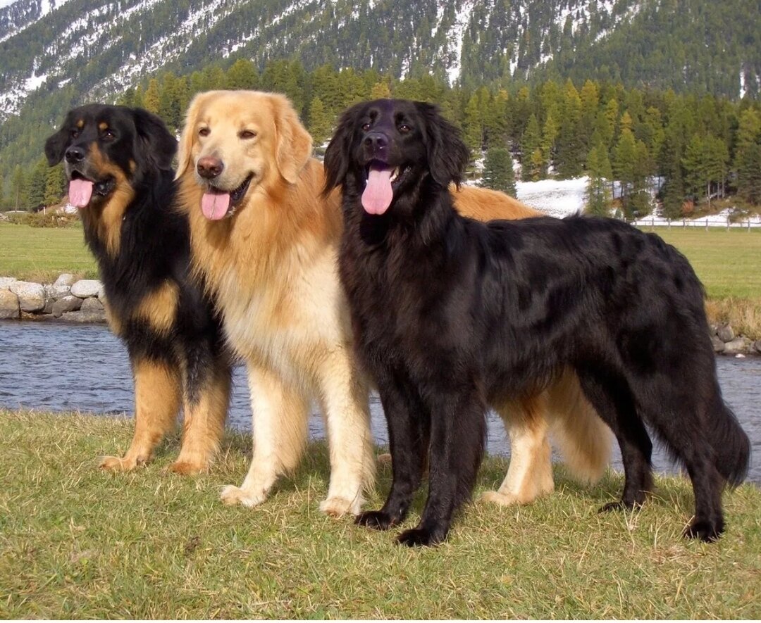 Фото для иллюстрации из интернета