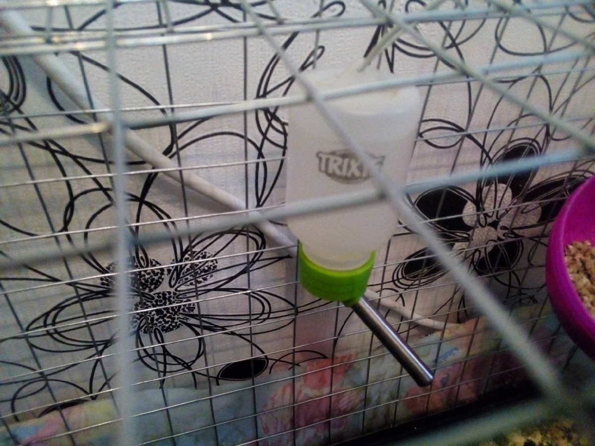 Поилка на 150 мл. Беременным девочкам таких нужно 2-е, обязательно!