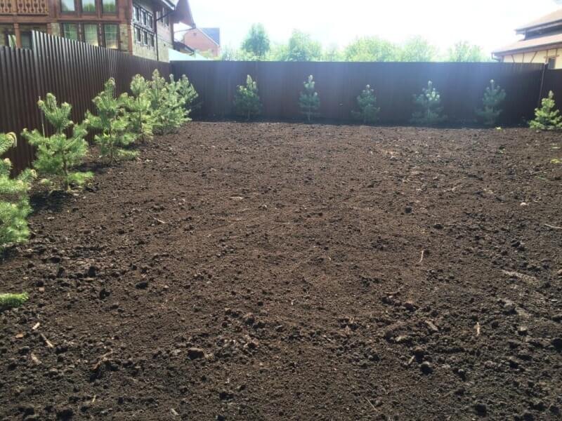 На фото: после внесения плодородного слоя грунта
