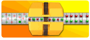 Принцип  действия устройства