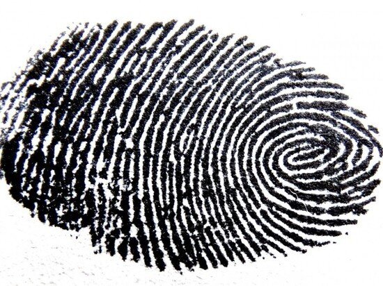 Фото - pxhere.com.