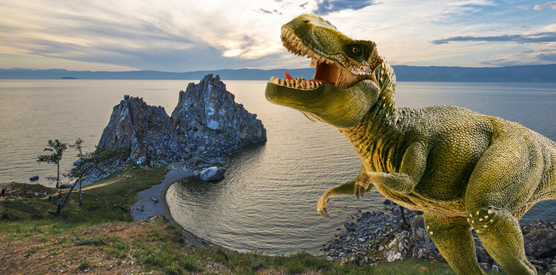 Фото из открытых источников ЯндексКартинки