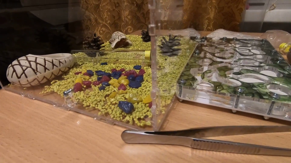 Формикарий.