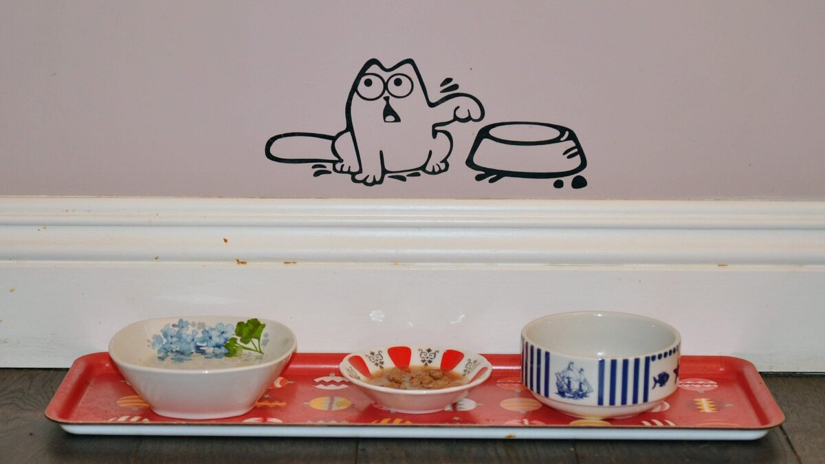 Кошачий стол