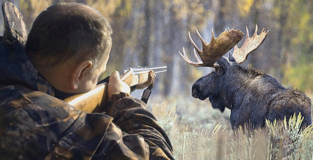             Друзья подписывайтесь на мой канал и ставьте лайке,буду очень благодарен.