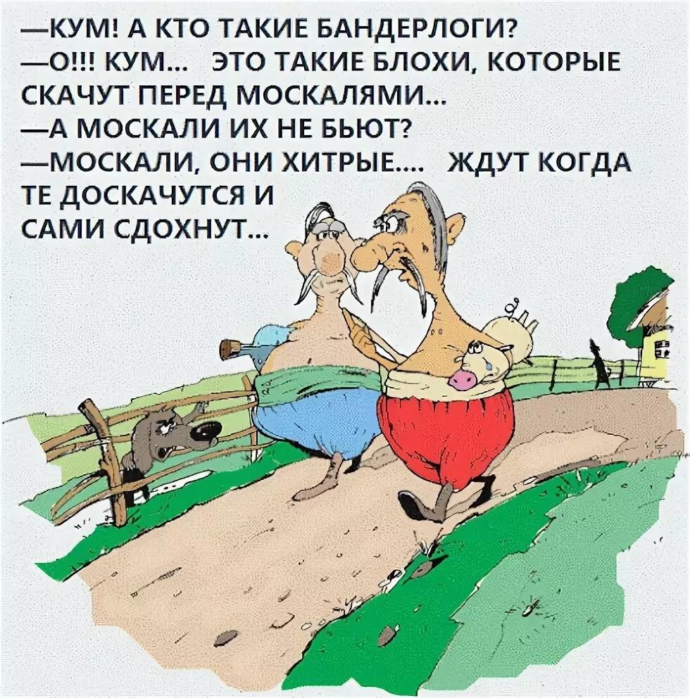 Картинка взята на https://pbs.twimg.com/media/EGXAHgOW4AAuRMb.jpg
