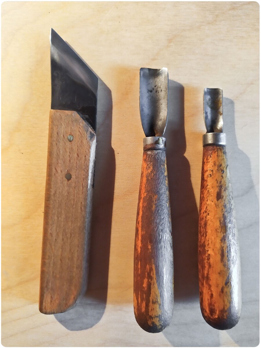 Фото Алексея Новикова