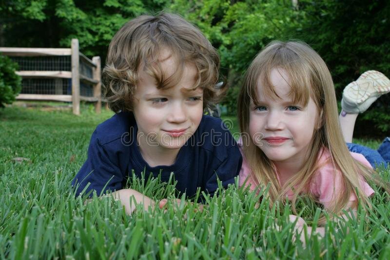 из свободного доступа.