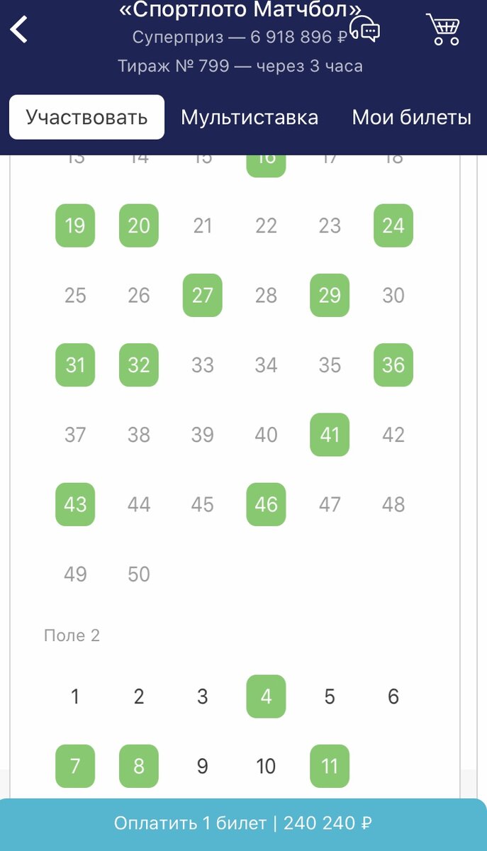 Так выглядит игровое поле и стоимость билета при развернутой ставке.