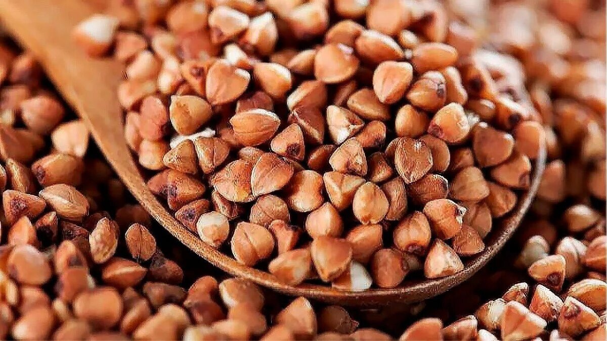 
 Огречке — простом, но ценном продукте 
У древних славян гречневая каша считалась пищей богатырей, а завезли её на Русь из Греции. Родиной же гречки считаются высокогорья Гималаев, где до сих пор растут её дикие виды. Интересно, что «гречкой» стали её называть только на Руси. Название это произошло от «страны-поставщика» — Греции, однако в Западной Европе (Португалии, Испании и Франции) её называли арабским или сарацинским зерном. 
Немцы гречневую крупу называли «языческим» зерном, финны ― татарским, а итальянцы и сами греки — турецким зерном. В странах Азии индусы дали гречке название «чёрный рис», некоторые страны ― «чёрная пшеница», западные славяне — словаки и чехи — зовут её поганкой. 
Примерно с Х века «чёрная каша» из гречневой крупы стала любимым блюдом на Руси. Кстати, «чёрной кашей» наши предки её прозвали из-за презрительного отношения, так как считали, что это еда простолюдинов. Если бы аристократы представляли, сколько пользы в неказистой с виду крупе, то вряд ли бы так легкомысленно исключили её из своего рациона. 
Сейчас о её пользе известно многое. Но некоторые свойства гречихи сделали её особенно популярной в суровых условиях нашего климата: 
• растение нетребовательно к условиям выращивания. Может расти на малоплодородных почвах; 
• не боится сорняков, а наоборот, успешно вытесняет их с поля; отличный сидерат — естественное удобрение для будущих посевов; 
• для урожая не требуются удобрения или химикаты; 
Нужно ещё заметить, что благодаря устойчивости к сорнякам и высокой естественной урожайности, гречиха не нуждается в генетических модификациях, поэтому можно быть уверенным в натуральном происхождении гречневой крупы. 
Вкусная и сытная гречка хороша и сама по себе, и как гарнир. Приготовленная на пару, без добавок или запаренная в кипятке она — основа многих диет, рассыпчатая гречневая каша с маслом хорошо насыщает, а натуральная зелёная гречка — кладезь полезных элементов. С гречихи собирают уникальный по свойствам и вкусу мёд, а гречневая лузга идёт на набивку экологически чистых подушек. Традиционный русский продукт – гречка по-прежнему пользуется популярностью благодаря многим полезным свойствам для нашего организма. 
Гречка широко применяется в диетическом и детском питании. 
Польза гречки 
Прежде всего, гречка очень богата железом. Кроме того, в гречневой крупе содержатся такие полезные элементы, как калий, необходимый для работы сердца, кальций и фосфор, незаменимые для костной системы. Также в этом продукте есть йод, оказывающий многостороннее воздействие на рост, развитие и обмен веществ, цинк, обеспечивающий метаболизм витамина Е, фтор — важнейший элемент для зубной эмали, молибден, нужный для поддержания активности некоторых ферментов, и кобальт, необходимый для кроветворения, функционирования нервной системы и печени. Богата гречка и витаминами: В1 (тиамин), играющий важную роль в углеводном, белковом и жировом обмене, В2 (рибофлафин), необходимый для образования эритроцитов, для регуляции роста и репродуктивных функций в организме, В9 (фолиевая кислота), незаменимый для создания и поддержания в здоровом состоянии новых клеток, поэтому наличие достаточного количества этого витамина особенно важно в периоды быстрого развития организма — на стадии раннего внутриутробного развития и в раннем детстве. Кроме того, витамин РР (никотиновая кислота), участвующий в метаболизме жиров, и витамин Е, являющийся важным антиоксидантом и способствующий обогащению крови кислородом. Содержатся в гречневой крупе и ценнейшие белки. 
Гречка калорийна, 100 граммов крупы содержат более 12 граммов белка и 62 грамма углеводов, что соответствует 313 килокалориям. Растительный белок усваивается почти на 80%, а углеводы в гречке — это полезные медленные углеводы, поэтому после тарелки гречневой каши долго не хочется есть. 
Эта крупа, за её полезные свойства, особенно рекомендована: 
• беременным и кормящим; 
• детям; 
• спортсменам, людям, занятым физическим трудом; 
• пожилым; 
• выздоравливающим, гипотоникам, малокровным, аллергикам, а также лицам с другими
заболеваниям. 
Сбалансированный витаминно-минеральный состав продукта делает его уникальным средством от многих недугов. Считается, что гречка способна повысить гемоглобин в крови, укрепить кости и суставы, вывести шлаки, очистить печень. Но она способна «работать» не только изнутри! 
• маски из разваренной каши питают кожу, помогают при излишней сухости и жирности; 
• мелко смолотая крупа, смешанная со сметаной – средство для лёгкого отшелушивания; 
• нагретая на сковороде и засыпанная в полотняный мешочек гречка хорошо прогревает грудь при бронхите; 
• перебирание крупы великолепно развивает мелкую моторику и показано малышам. 
А теперь о том, чего в гречке нет. 
Гречневая крупа практически не содержит быстрых углеводов, благодаря чему незаменима в питании больных сахарным диабетом и подходит для желающих похудеть. Главное отличие гречки в том, что она является зёрнами цветка, а не злаковой культурой, как крупы. Поскольку гречка не является злаком, она не содержит глютен — клееподобный белок пшеницы, вызывающий пищевую аллергию у некоторых людей 
Зернышки гречихи трёхгранные, покрыты плотной оболочкой – лузгой. Обмолоченное зерно имеет нежный зеленоватый цвет, однако такая гречка не подлежит длительному хранению, поэтому её обрабатывают паром или обжаривают. Так крупа приобретает коричневатый оттенок и особый аромат. Таким образом, привычная каждому с детства гречка — это обработанное жаркой зерно. В последнее время всё популярней становится естественная, не обжаренная зелёная гречка, ведь в ней сохраняется гораздо больше витаминов и полезных веществ. 
Какие же виды гречки можно найти на прилавках магазинов? 
• Ядрица – крупа с цельным зерном. Чем крупнее ядрица, тем она дороже. Широко применяется в кулинарии для каш, гарниров, других блюд. 
• Продел, сечка – колотые ядра. Стоит меньше, готовится быстрее, но хранится не так долго. 
• Смоленская крупа — мельче продела. Идеальна для приготовления вязкой каши. 
• Хлопья – получают из цельного расплющенного и обработанного паром зёрна. Быстро варятся, но питательная ценность ниже, чем у ядрицы. 
• Мука – смолотое зерно. Хлеб из одной гречишной муки не получится, поскольку она бедна клейковиной. Но оладьи и блины из неё отменные. Из гречневой муки также делают растворимые детские кашки. 
• Зелёная гречка – необработанные ядра. Кладезь полезных веществ, витаминов, микроэлементов, органически чистый продукт. Применяют для диет, здорового питания, проращивания. 
 
