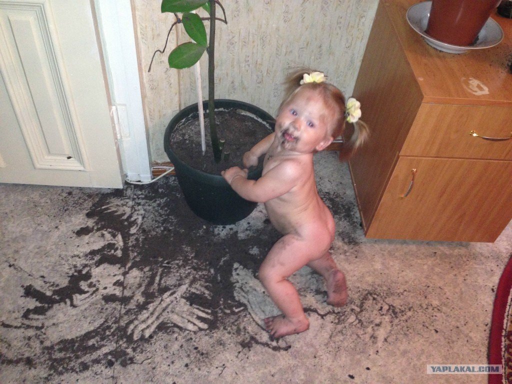 Фото взято https://mtdata.ru/u24/photoD5A1/20034240503-0/original.jpg