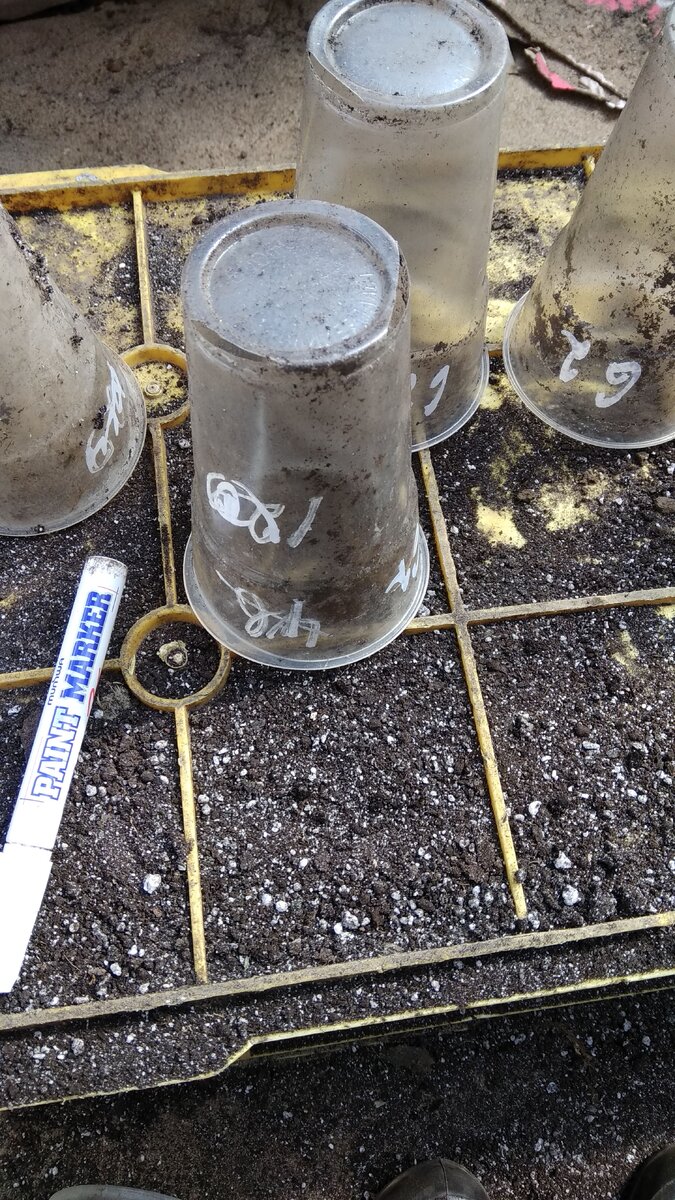 Я старалась