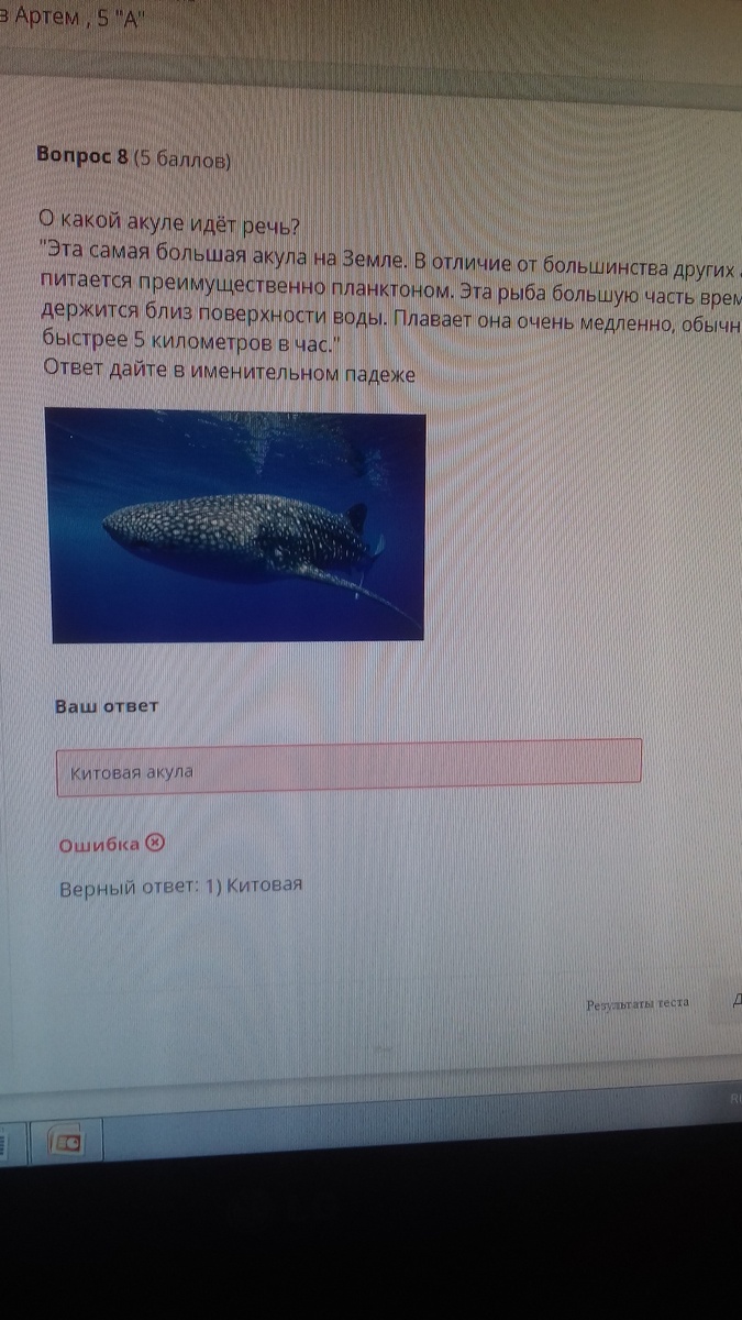 Как вам такая оценочка ответа?