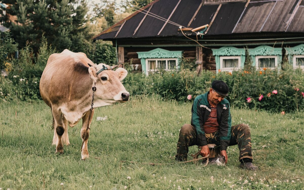 Хозяйство в деревне