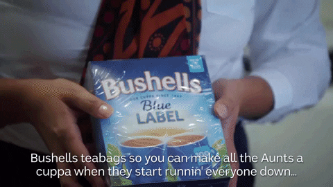 "Чайные пакетики Bushells, чтобы ты смог сделать тетушкам чая, когда они начнут всех доставать."