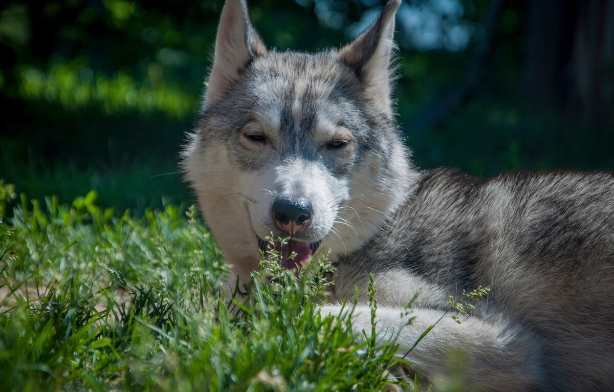 Мама Маруся