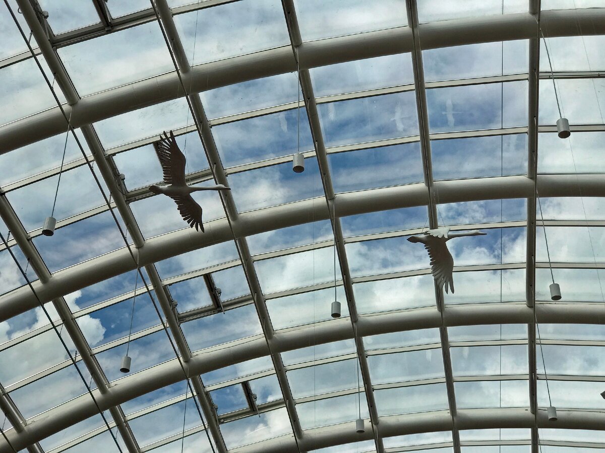 Небо над фудкортом