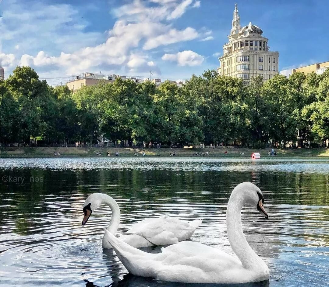 Автор фото: kary-nos