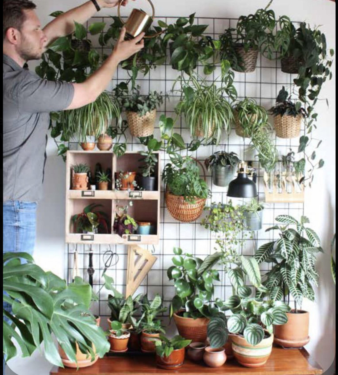 Фото из открытого источника freepic.com