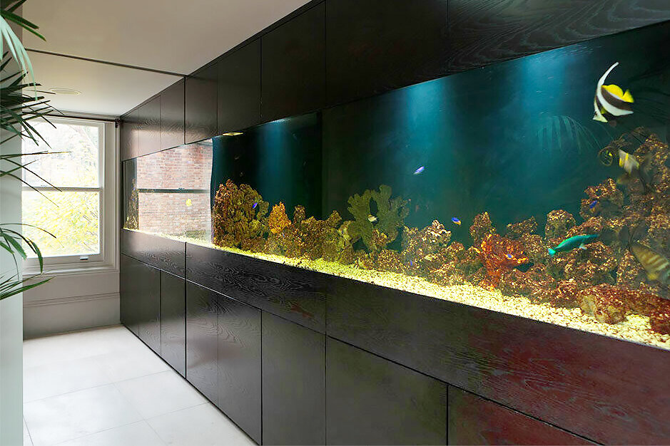 Иногда он даже ставит раскладушку и спит посередине между аквариумами с рыбками. Вы готовы так попробовать?