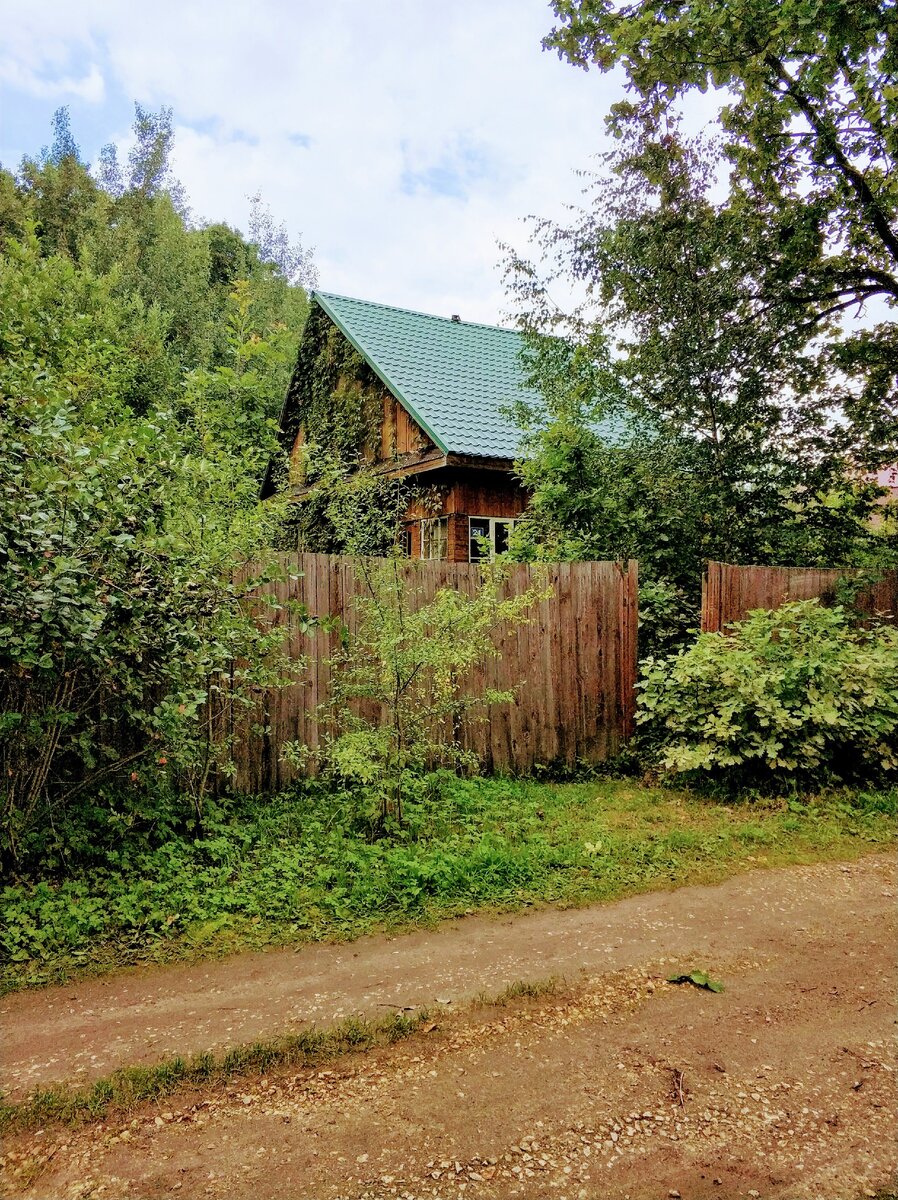 Тут мы уже открыли калитку, предварительно поработав топором и пилой. 