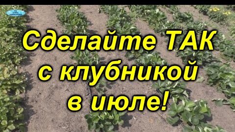 Особенности интро для YouTube