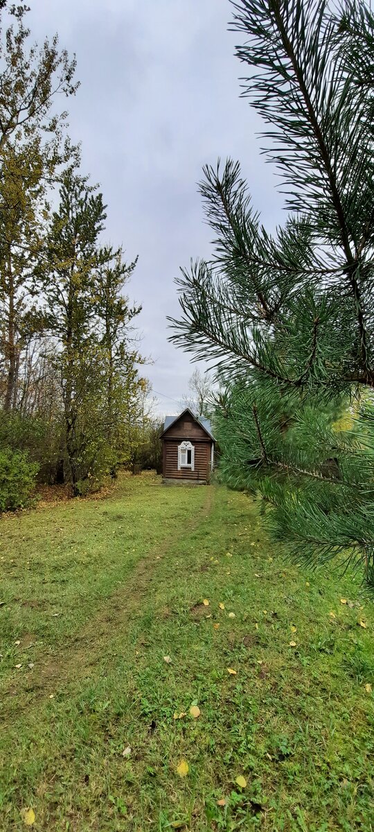 Это фото сделано в Пскове и как нельзя лучше передает, моё одиночество, опустошенность и беспомощность, когда я столкнулась с инсультом.