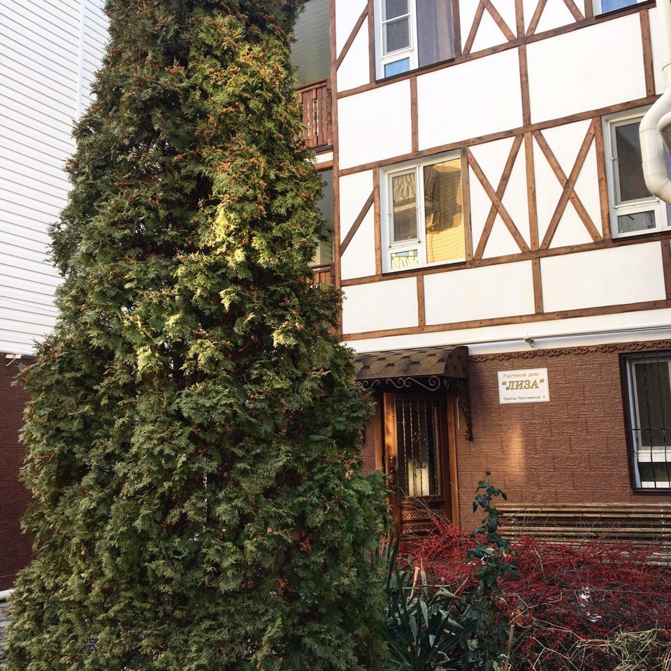 Гостевой дом "Лиза"