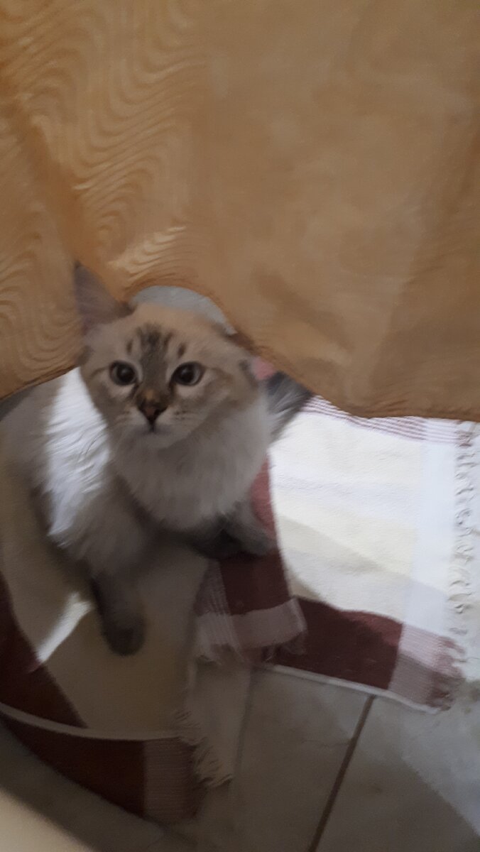 А чо это вы тут делаете?!