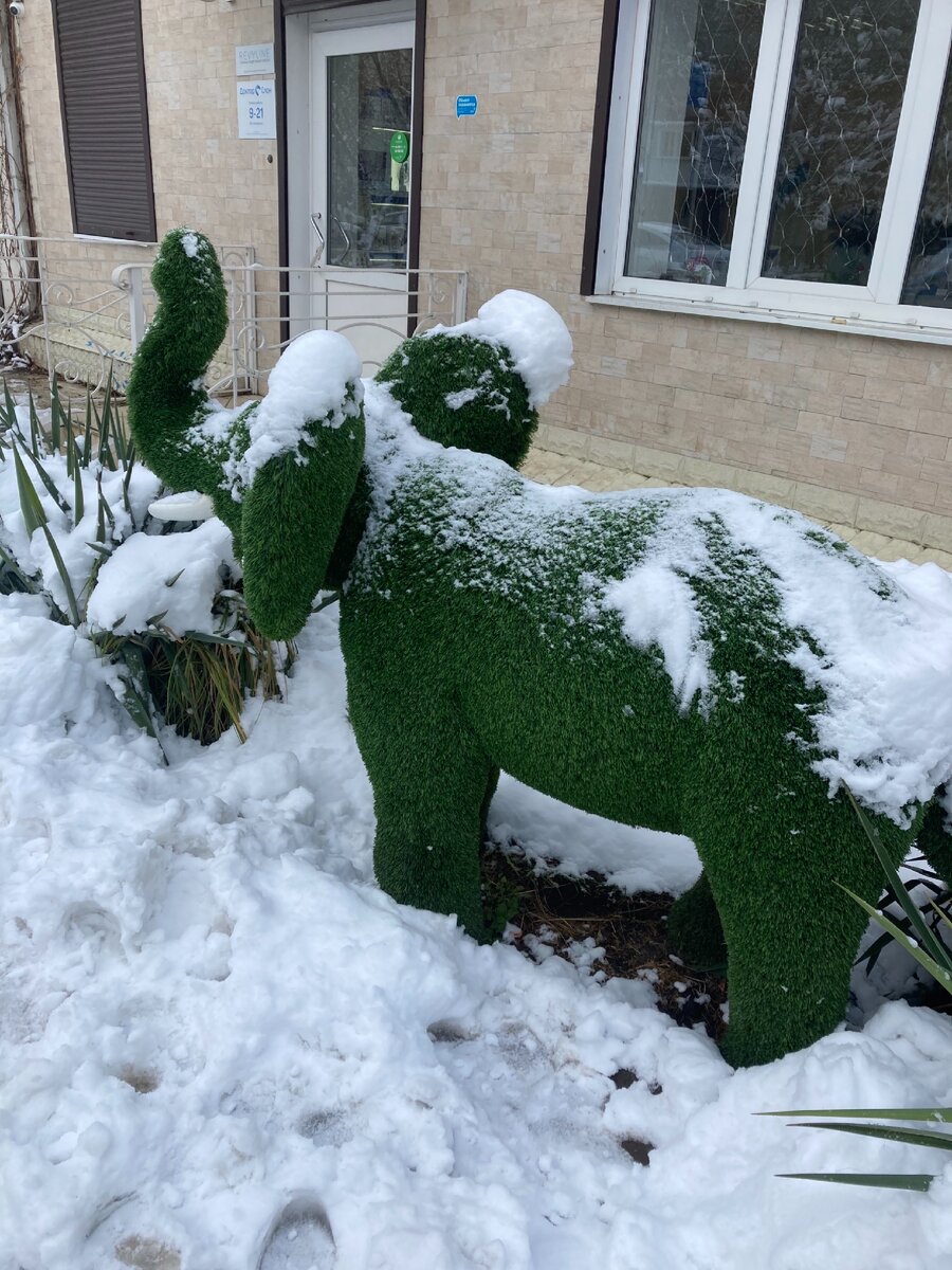 Фото автора