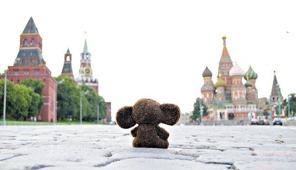 Фото взято из открытых источников