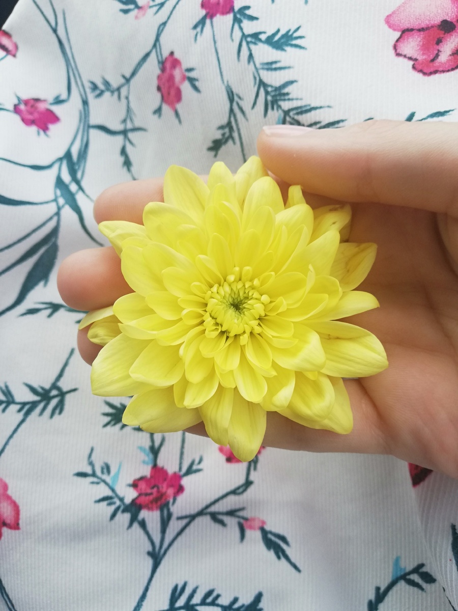 Цветочек от Матроны Московской 