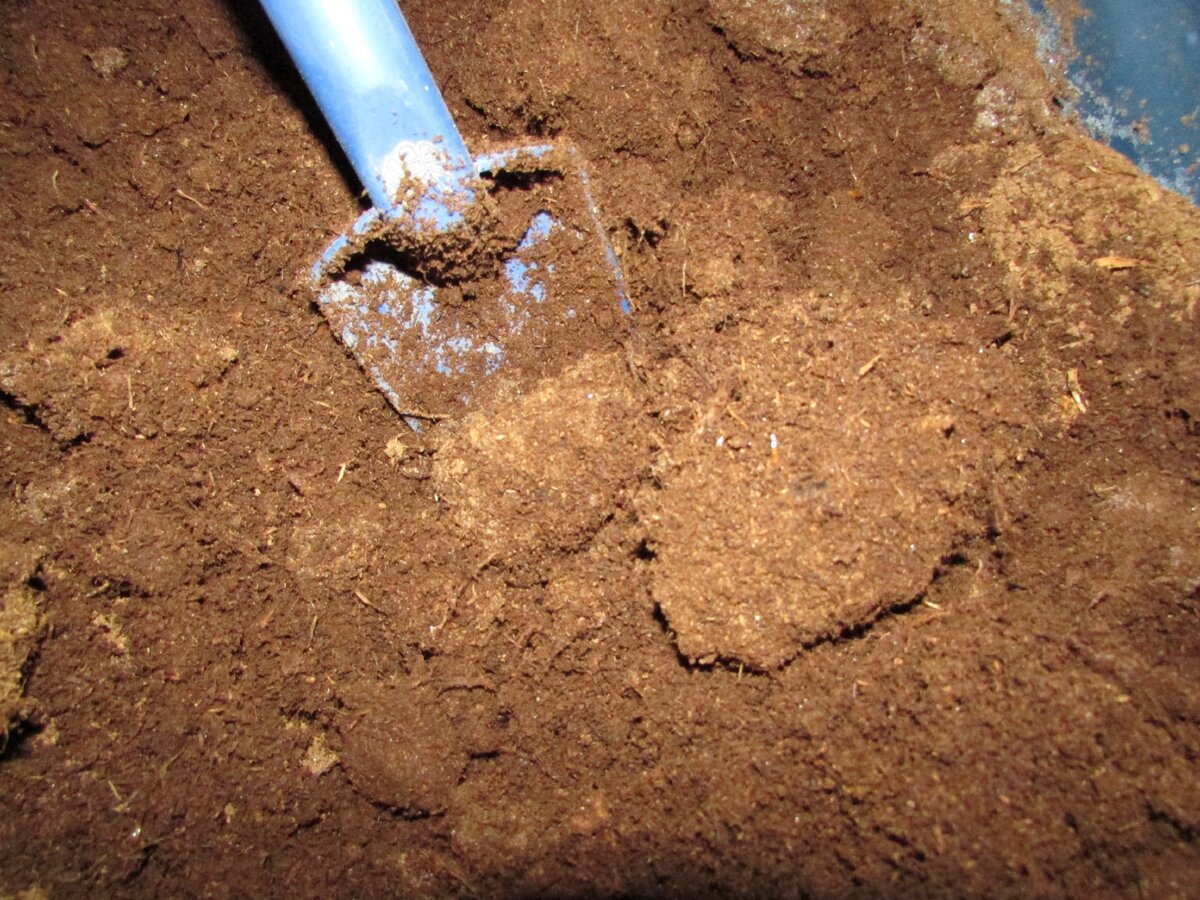 Чем раскислить почву в теплице