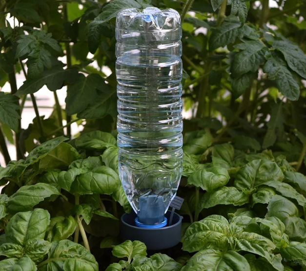 Что сделать из пластиковой бутылки? 5 способов применения в саду и огороде