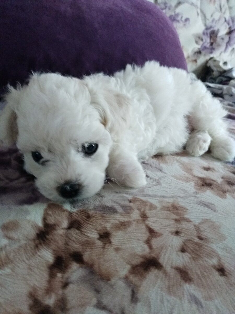 Вот мой ребёнок-тунеядец