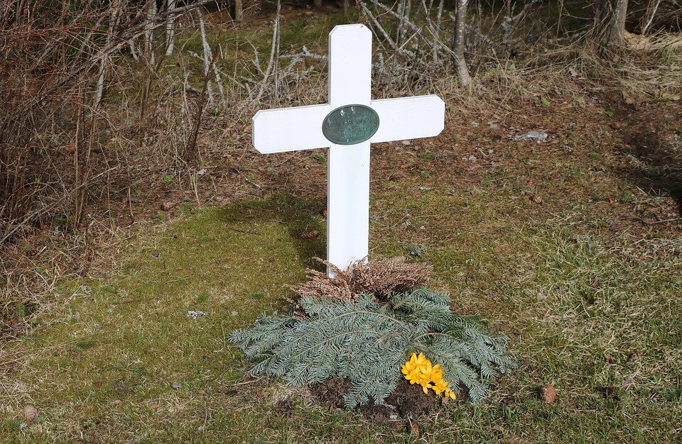 Фото: pixabay.com