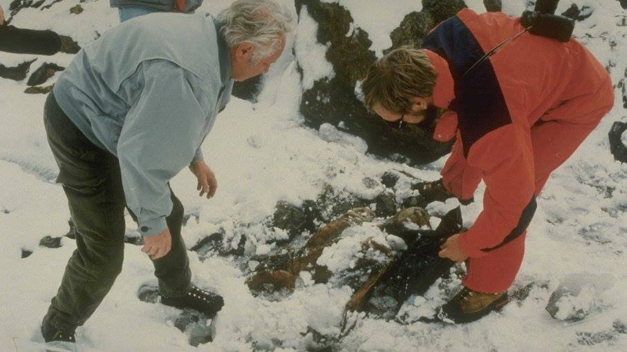 30 лет назад - 19 сентября 1991 года - в Альпах была случайно обнаружена самая древняя мумия Европы. Ее нашли два немецких туриста-альпиниста, супруги по фамилии Симон, и сообщили куда следует.-3