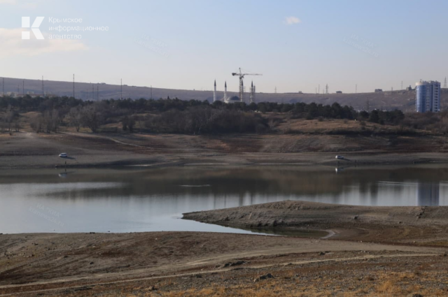 Фото: Наталья Сомова 