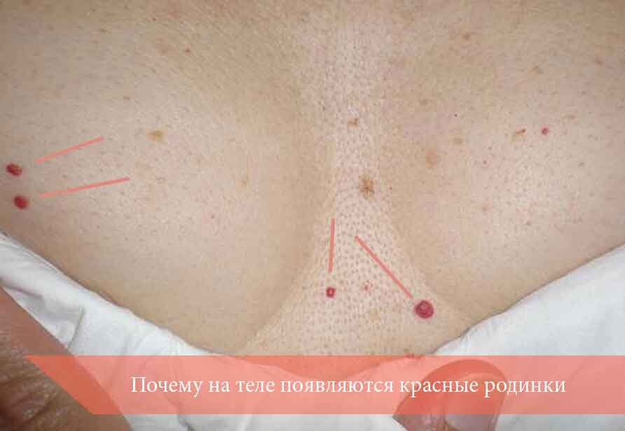 Фото: proexpress.com.ua