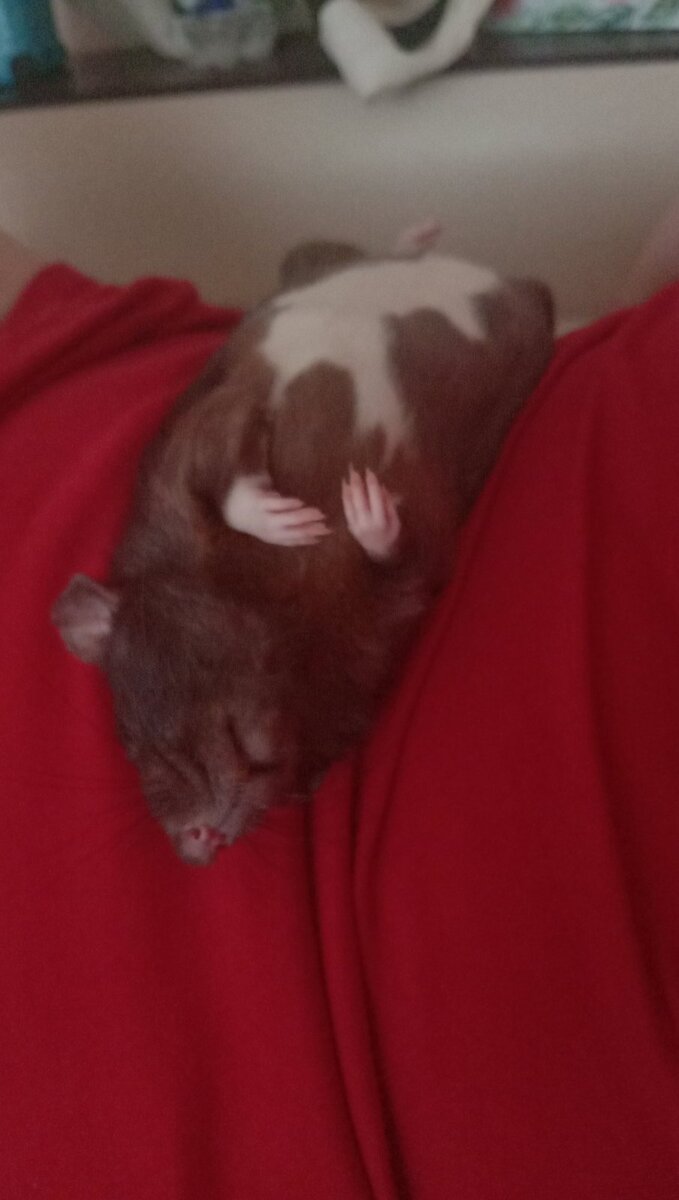 Что ты знаешь о жаре???