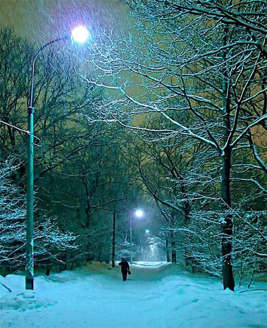 Фото из интернета