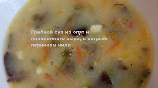 Грибной суп-пюре с плавленым сыром рецепт – Европейская кухня: Супы. «Еда»