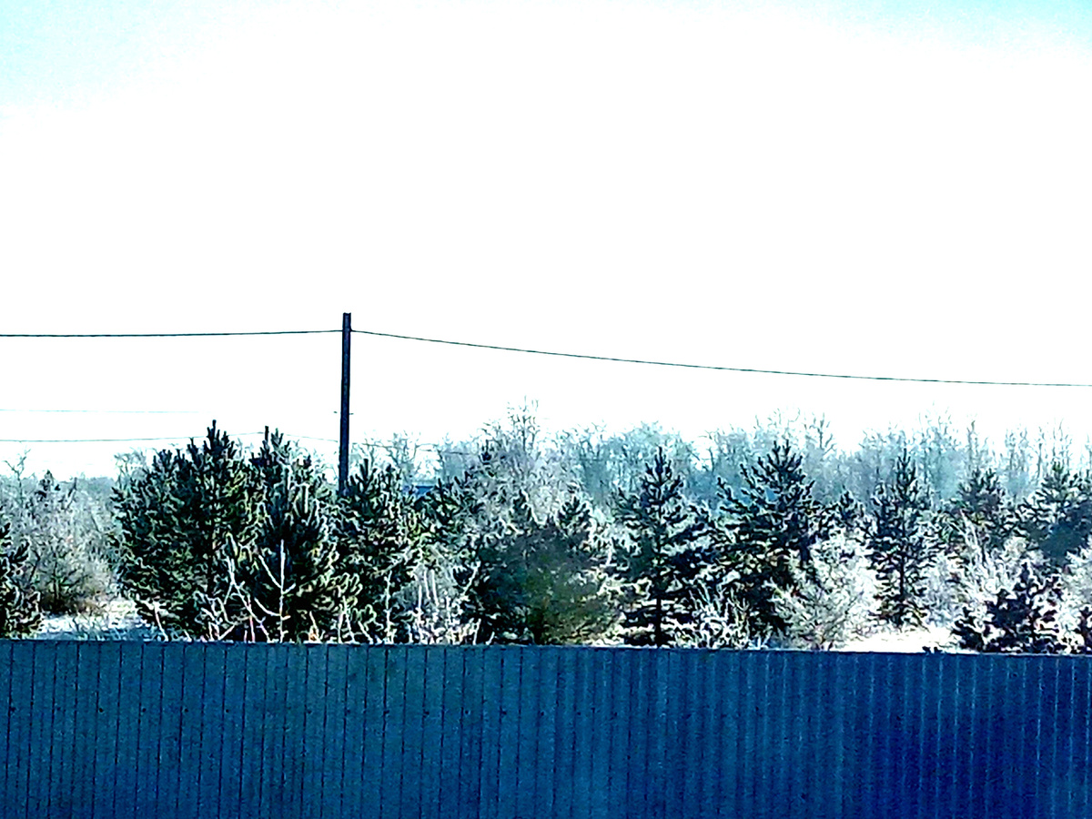 Вот такой был вид из окна нашего домика. 