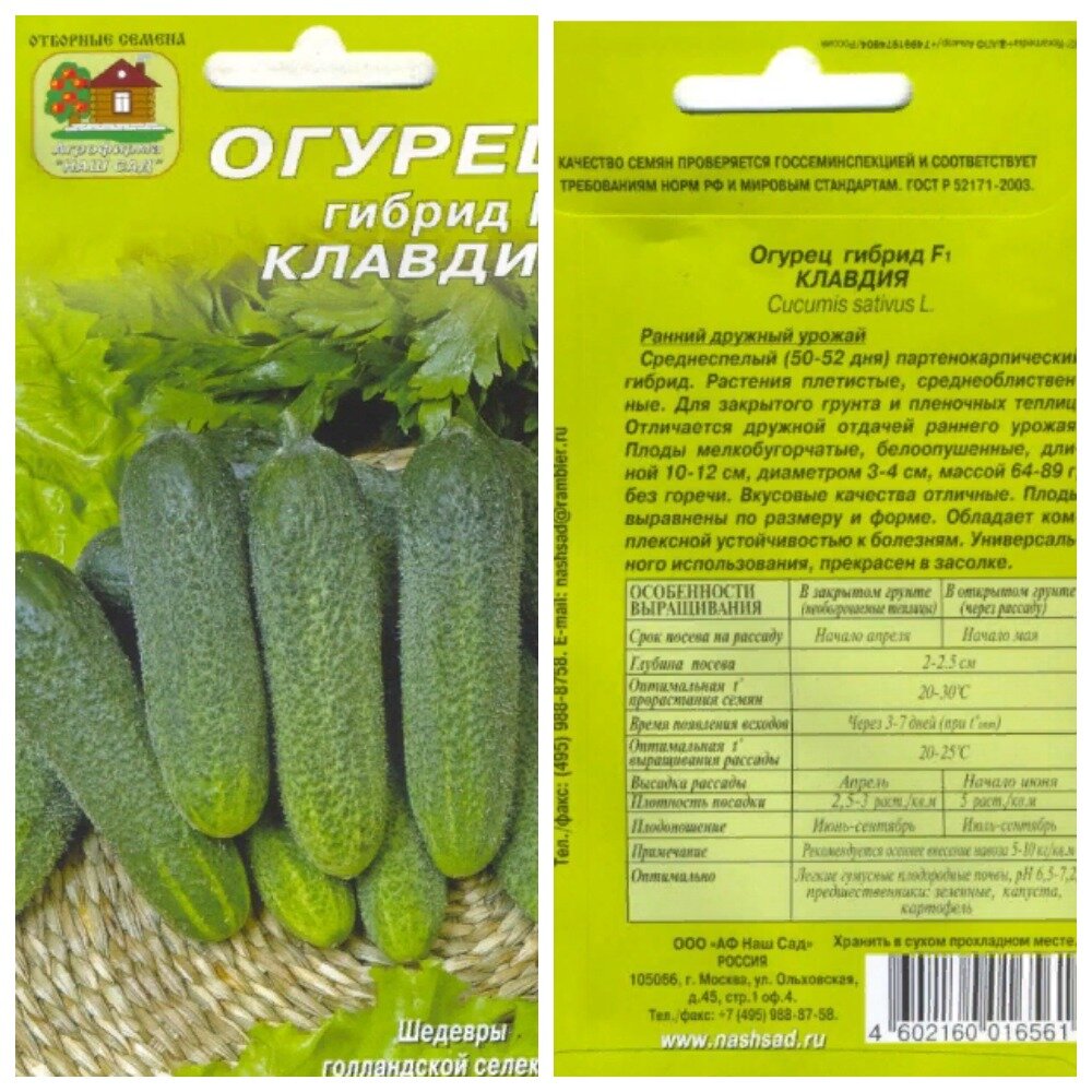 Семена огурцов Клавдия