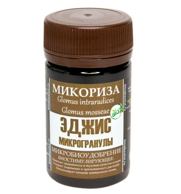 Фотография взята из источника posaju.ru
