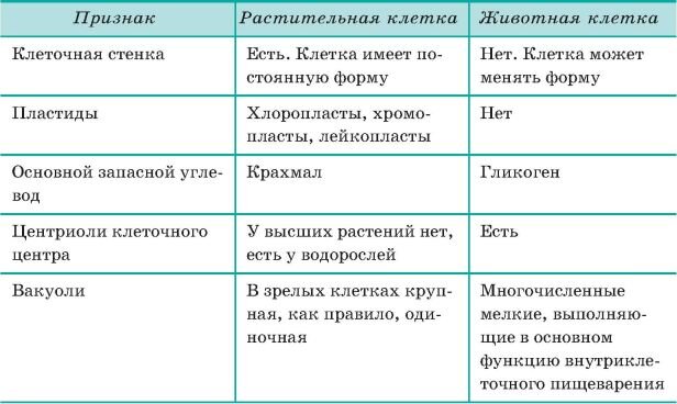 Таблица сравнительная характеристика растительной и животной клетки