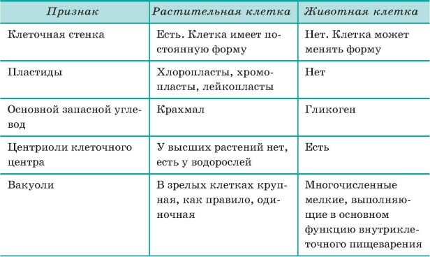 Строение и функции органоидов клетки. Органоиды клетки таблица