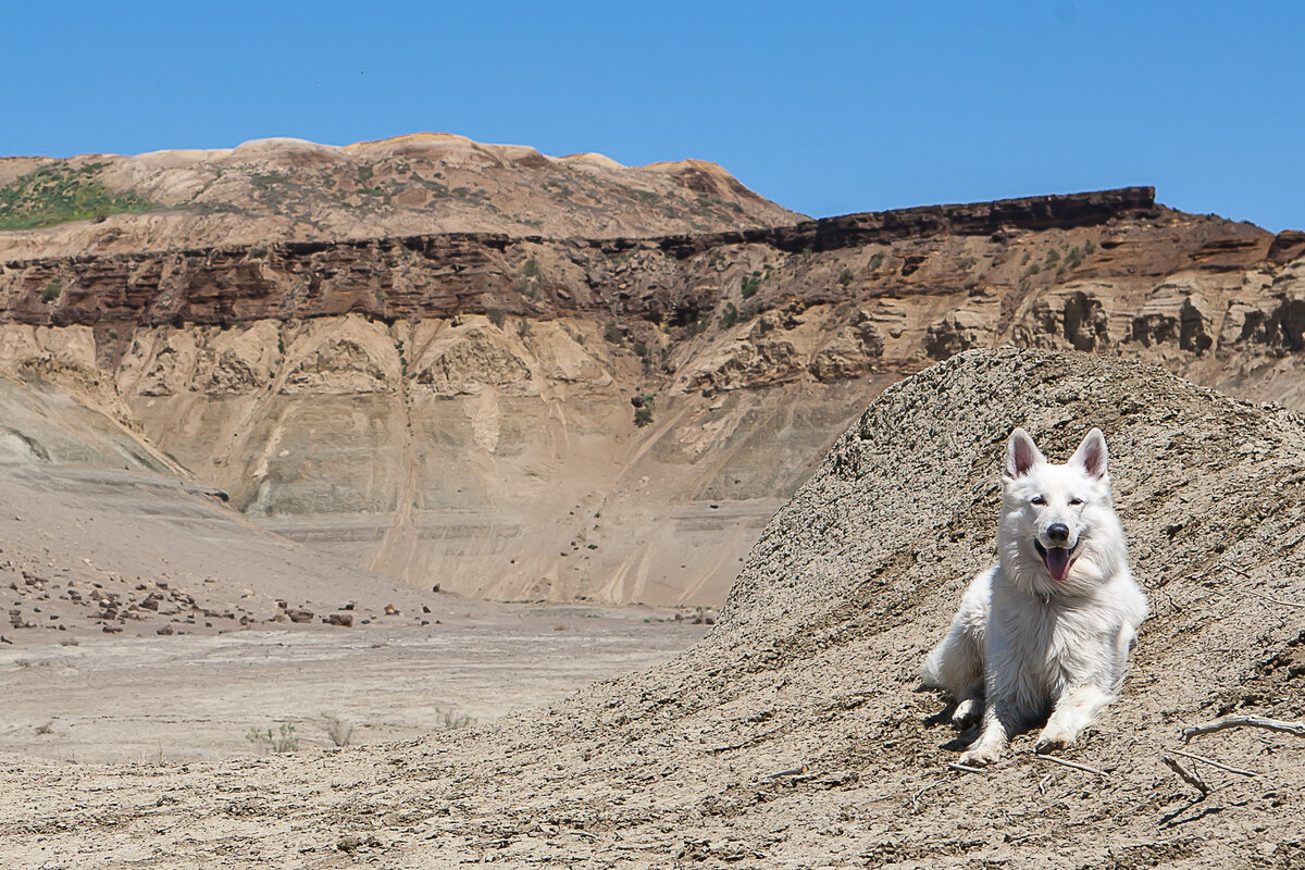 Месторождений бентонита в мире довольно много, но самые крупные находятся в США, Канаде, Великобритании и России. На фото не они, но тоже древняя глина :)