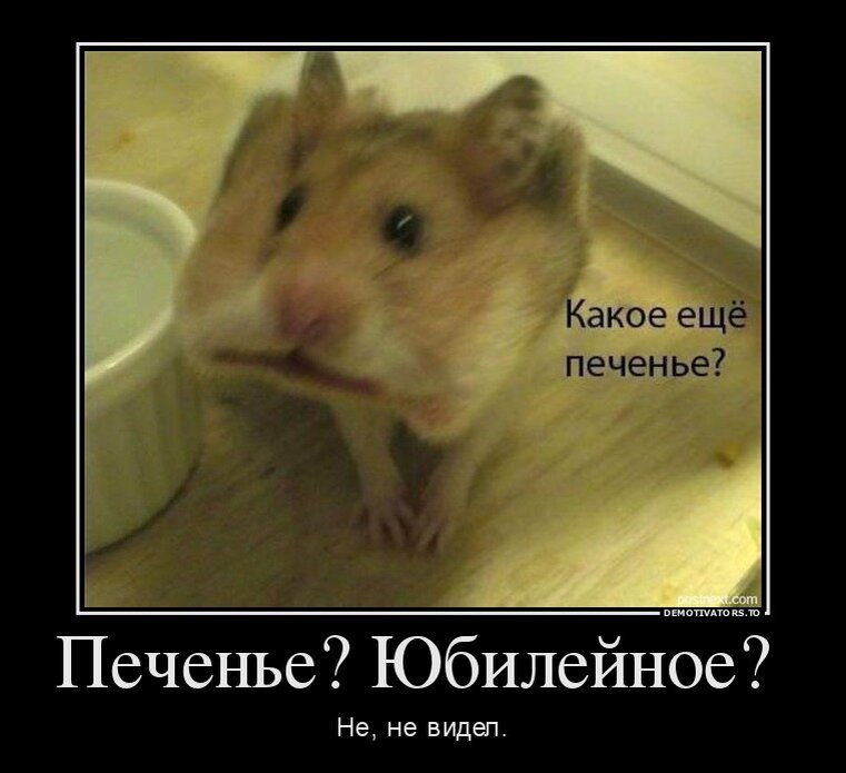 Картинка испуганного хомяка
